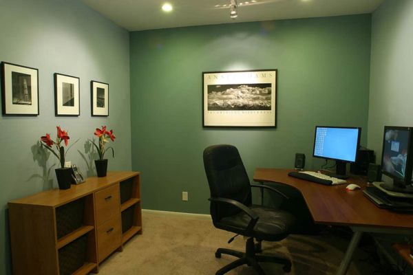 Transform Your Basement into a Productive Home Office