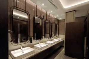 Bathroom Ideas for Basement Remodel Ideas to Upgrade Your Home - Newton Basement Finishing