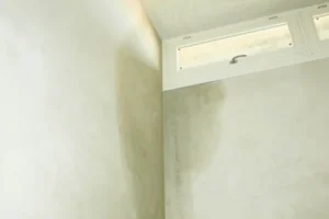 Wet Basement Walls in Newton - Newton Basement Finishing